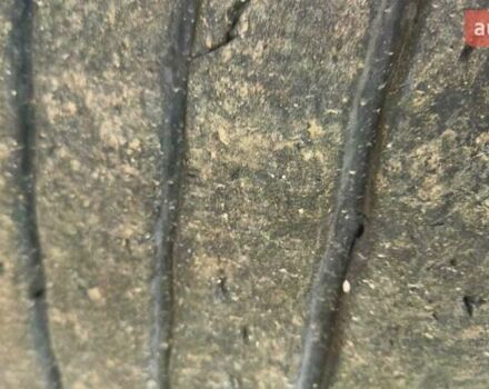 Серый Шмитц Каргобулл SKI, объемом двигателя 0 л и пробегом 15 тыс. км за 15000 $, фото 4 на Automoto.ua