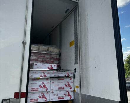 Шмітц Каргобулл SKO 24, об'ємом двигуна 0 л та пробігом 630 тис. км за 33000 $, фото 13 на Automoto.ua