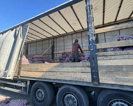 Серый Шмитц Каргобулл SO1, объемом двигателя 0 л и пробегом 0 тыс. км за 9000 $, фото 14 на Automoto.ua