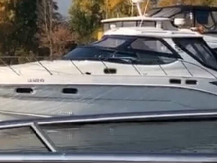 СиЛайн S42 2004 в Киеве на Automoto.ua Белый СиЛайн S42, объемом двигателя 0 л и пробегом 120 тыс. км за 183283 $, фото 1 на Automoto.ua