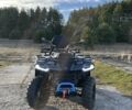 Сегвей 4310, объемом двигателя 0.5 л и пробегом 0 тыс. км за 6500 $, фото 1 на Automoto.ua