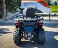 Сегвей 6510, объемом двигателя 0.5 л и пробегом 0 тыс. км за 7949 $, фото 11 на Automoto.ua