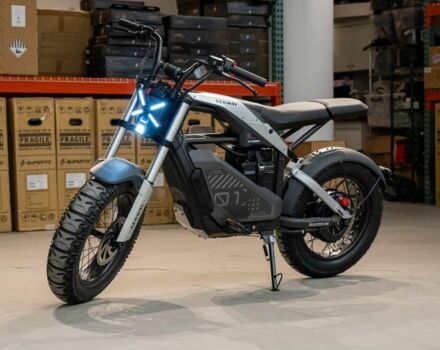 Сегвей 95 XF 380, об'ємом двигуна 12.58 л та пробігом 0 тис. км за 3400 $, фото 1 на Automoto.ua