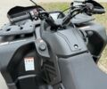 Сегвей 95 XF 380, объемом двигателя 0.6 л и пробегом 0 тыс. км за 9250 $, фото 4 на Automoto.ua