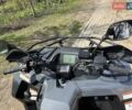 Серый Сегвей Snarler, объемом двигателя 0 л и пробегом 1 тыс. км за 6000 $, фото 9 на Automoto.ua