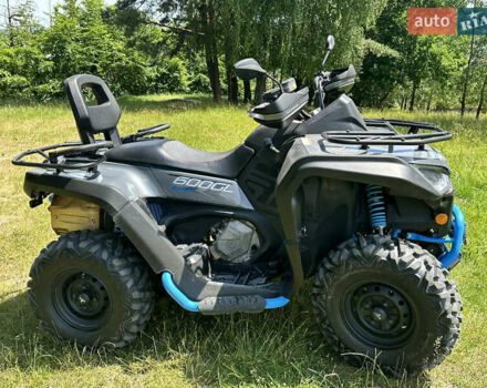 Серый Сегвей Snarler 600GL, объемом двигателя 0.6 л и пробегом 1 тыс. км за 6950 $, фото 4 на Automoto.ua