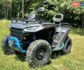 Серый Сегвей Snarler 600GL, объемом двигателя 0.6 л и пробегом 1 тыс. км за 6950 $, фото 1 на Automoto.ua