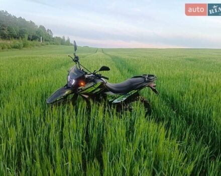 Зелений Шанрай 200, об'ємом двигуна 0 л та пробігом 4 тис. км за 1150 $, фото 7 на Automoto.ua
