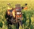 Шанрай 6510, объемом двигателя 0.25 л и пробегом 0 тыс. км за 1273 $, фото 1 на Automoto.ua