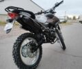 Шанрай 95 XF 380, объемом двигателя 0.23 л и пробегом 0 тыс. км за 1550 $, фото 8 на Automoto.ua