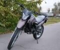 Шанрай 95 XF 380, объемом двигателя 0.23 л и пробегом 0 тыс. км за 1550 $, фото 2 на Automoto.ua