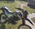 Шанрай 95 XF 380, об'ємом двигуна 0.25 л та пробігом 0 тис. км за 1200 $, фото 5 на Automoto.ua
