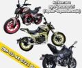 Шанрай 95 XF 380, объемом двигателя 0.27 л и пробегом 0 тыс. км за 1830 $, фото 1 на Automoto.ua