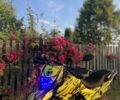 Шанрай Інша, об'ємом двигуна 0.25 л та пробігом 0 тис. км за 950 $, фото 5 на Automoto.ua