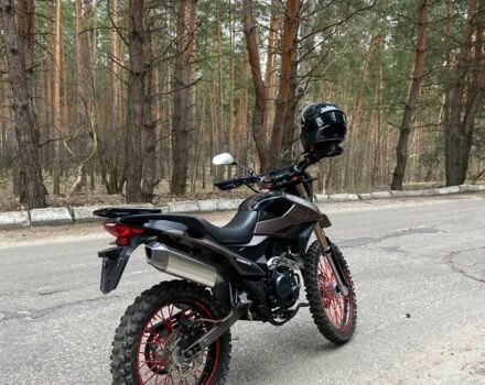 Шанрай Другая, объемом двигателя 0.25 л и пробегом 0 тыс. км за 1250 $, фото 3 на Automoto.ua