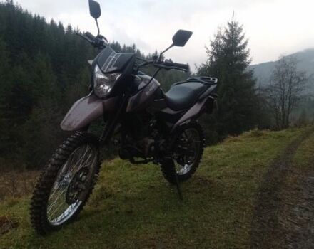 Шанрай Інша, об'ємом двигуна 0.25 л та пробігом 0 тис. км за 1350 $, фото 5 на Automoto.ua