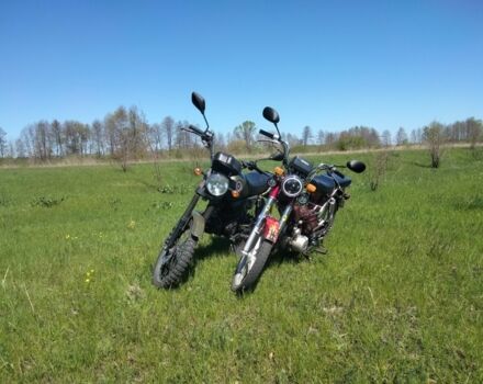 Шанрай Colt 125, объемом двигателя 0.13 л и пробегом 0 тыс. км за 24000 $, фото 3 на Automoto.ua