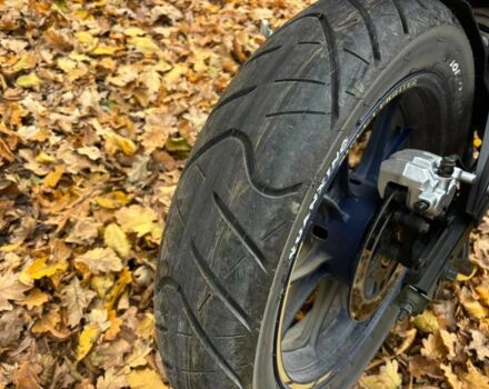 Шанрай Другая, объемом двигателя 0.3 л и пробегом 0 тыс. км за 1555 $, фото 7 на Automoto.ua