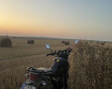 Шанрай Другая, объемом двигателя 0.25 л и пробегом 0 тыс. км за 1250 $, фото 8 на Automoto.ua