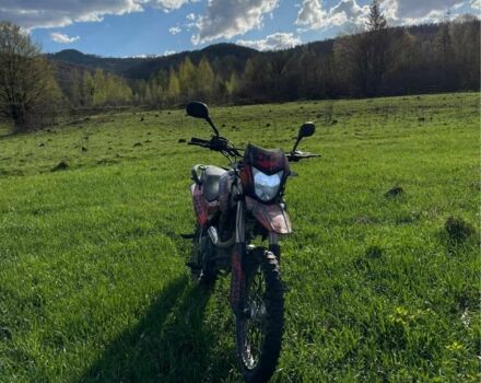 Шанрай Другая, объемом двигателя 0.25 л и пробегом 0 тыс. км за 1400 $, фото 3 на Automoto.ua