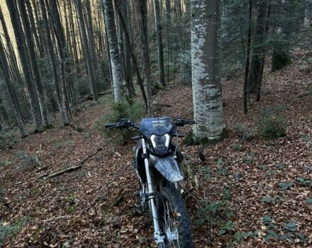 Шанрай Другая, объемом двигателя 0.25 л и пробегом 0 тыс. км за 1100 $, фото 1 на Automoto.ua