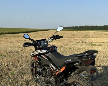 Шанрай Другая, об'ємом двигуна 0.3 л та пробігом 0 тис. км за 1457 $, фото 7 на Automoto.ua
