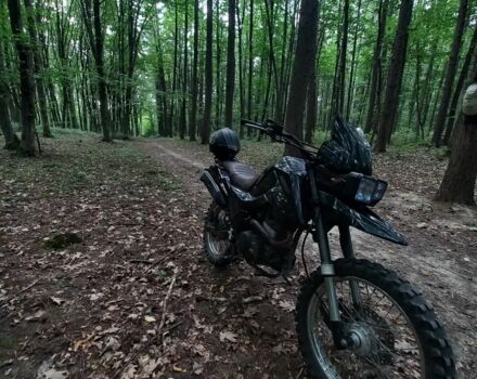 Шанрай Другая, объемом двигателя 0.25 л и пробегом 0 тыс. км за 1000 $, фото 6 на Automoto.ua