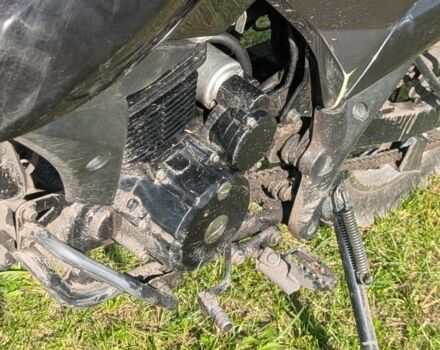 Шанрай Другая 2019 в Сосновке на Automoto.ua Шанрай Другая, объемом двигателя 0.25 л и пробегом 0 тыс. км за 785 $, фото 2 на Automoto.ua