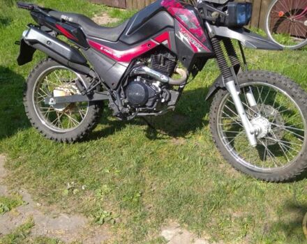 Шанрай Другая, объемом двигателя 0.2 л и пробегом 0 тыс. км за 946 $, фото 2 на Automoto.ua