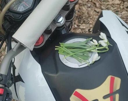 Шанрай Другая, об'ємом двигуна 0.25 л та пробігом 0 тис. км за 1450 $, фото 3 на Automoto.ua