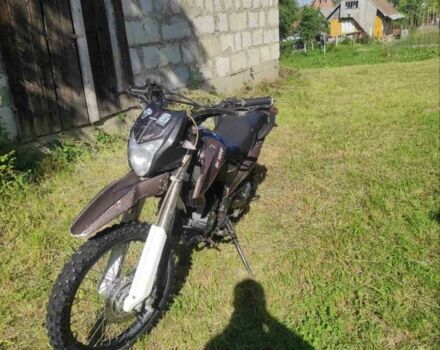 Шанрай Другая 2020 в Тячеве на Automoto.ua Шанрай Другая, объемом двигателя 0.25 л и пробегом 0 тыс. км за 750 $, фото 3 на Automoto.ua