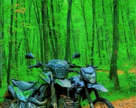 Шанрай Другая, об'ємом двигуна 0.25 л та пробігом 0 тис. км за 1250 $, фото 8 на Automoto.ua