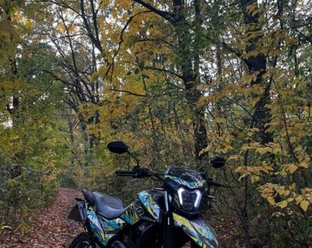 Шанрай Другая, об'ємом двигуна 0.25 л та пробігом 0 тис. км за 953 $, фото 1 на Automoto.ua