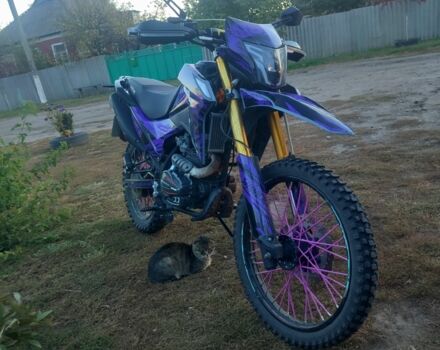 Шанрай Другая, объемом двигателя 0.3 л и пробегом 0 тыс. км за 1199 $, фото 3 на Automoto.ua