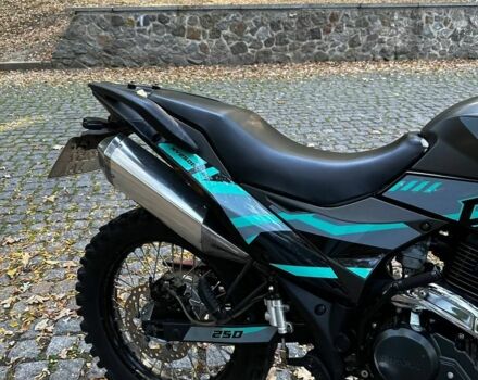 Шанрай Другая, объемом двигателя 0.25 л и пробегом 0 тыс. км за 1420 $, фото 3 на Automoto.ua