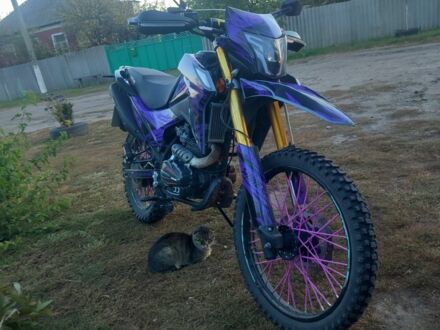 Шанрай Другая, об'ємом двигуна 0.3 л та пробігом 0 тис. км за 1192 $, фото 1 на Automoto.ua