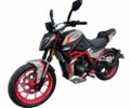 Шанрай Nitrox, объемом двигателя 0.3 л и пробегом 0 тыс. км за 1620 $, фото 1 на Automoto.ua