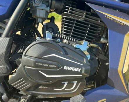 Шанрай Nitrox 300, об'ємом двигуна 0 л та пробігом 2 тис. км за 1500 $, фото 6 на Automoto.ua