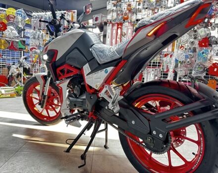 Шанрай Nitrox 300, объемом двигателя 0.3 л и пробегом 0 тыс. км за 1820 $, фото 4 на Automoto.ua