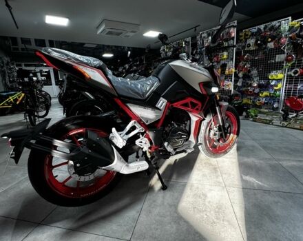 Шанрай Nitrox 300, объемом двигателя 0.3 л и пробегом 0 тыс. км за 1820 $, фото 6 на Automoto.ua