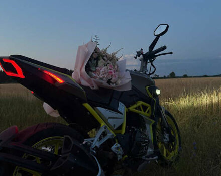 Шанрай Nitrox 300, объемом двигателя 0 л и пробегом 100 тыс. км за 1450 $, фото 1 на Automoto.ua