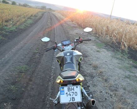 Шанрай Nitrox 300, объемом двигателя 0.3 л и пробегом 0 тыс. км за 1600 $, фото 6 на Automoto.ua