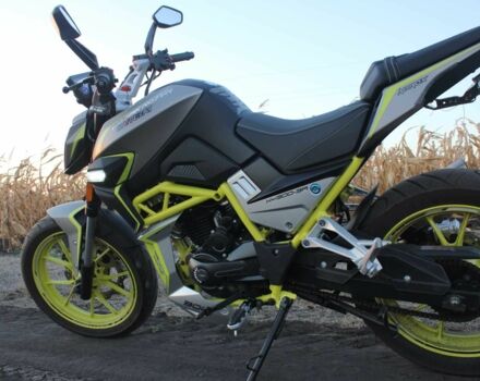 Шанрай Nitrox 300, объемом двигателя 0.3 л и пробегом 0 тыс. км за 1600 $, фото 5 на Automoto.ua