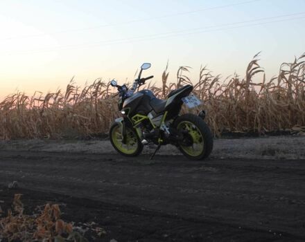 Шанрай Nitrox 300, объемом двигателя 0.3 л и пробегом 0 тыс. км за 1600 $, фото 2 на Automoto.ua