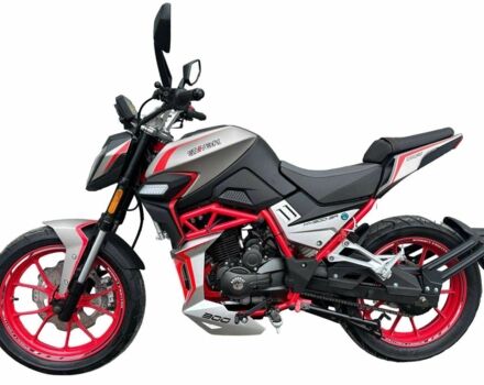 Шанрай Nitrox 300, об'ємом двигуна 0 л та пробігом 0 тис. км за 1780 $, фото 8 на Automoto.ua