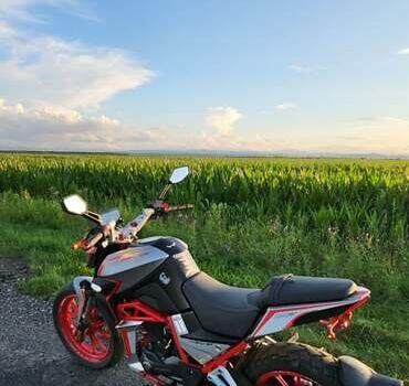 Шанрай Nitrox 300, об'ємом двигуна 0.3 л та пробігом 9 тис. км за 1499 $, фото 4 на Automoto.ua