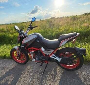 Шанрай Nitrox 300, об'ємом двигуна 0.3 л та пробігом 9 тис. км за 1499 $, фото 5 на Automoto.ua