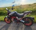 Шанрай Nitrox 300, об'ємом двигуна 0.3 л та пробігом 9 тис. км за 1499 $, фото 5 на Automoto.ua