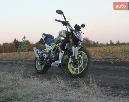 Серый Шанрай Nitrox 300, объемом двигателя 0.3 л и пробегом 5 тыс. км за 1600 $, фото 3 на Automoto.ua