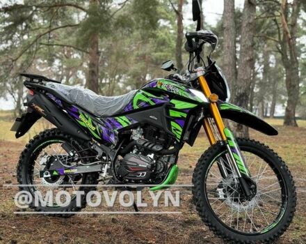 Шанрай VXR 300, об'ємом двигуна 0.3 л та пробігом 0 тис. км за 1665 $, фото 3 на Automoto.ua
